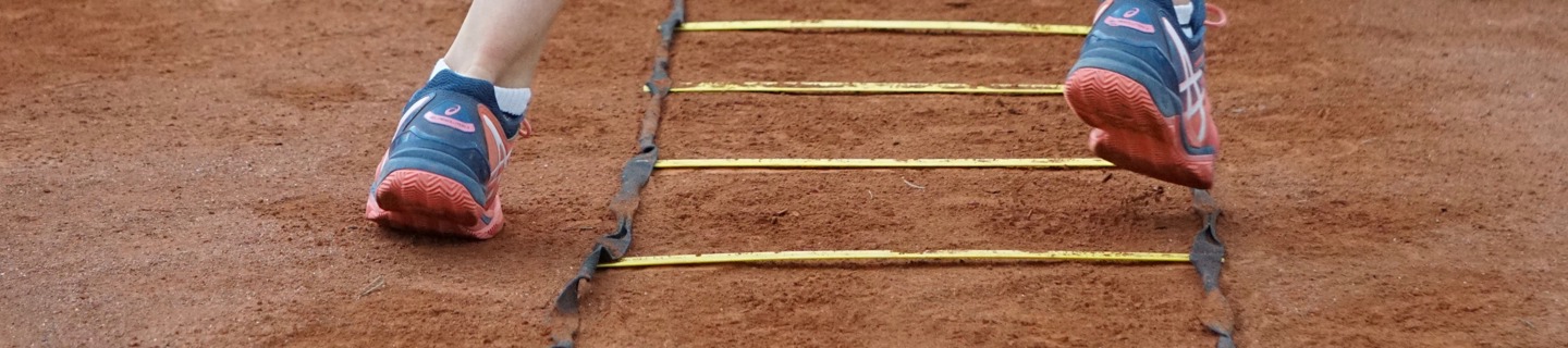 Training Ladder